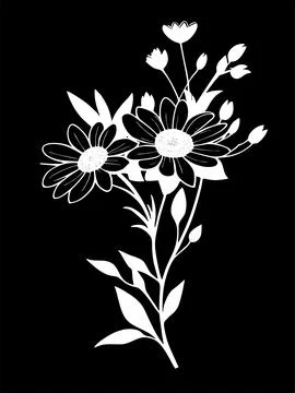 White graphic linear drawing of a branch of flowers on a black background, .. Stock Illustration