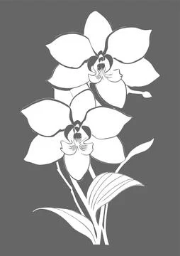 White graphic linear drawing of a branch of flowers on a gray background, d.. Stock Illustration