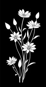 White graphic linear drawing of a branch of flowers on a black background, .. Stock Illustration