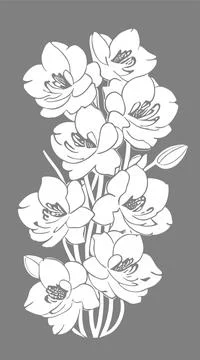 White graphic linear drawing of orchid flower on gray background, design Stock Illustration
