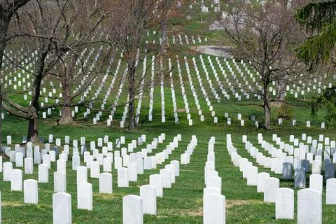 White gravestones Stock Photos