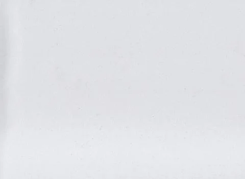 White gray paper background. abstract shape and have copy space for text. Stock Photos