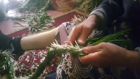 White greens Stock Footage 108796117