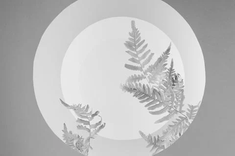 White, grey geometric background with round arches as channel with perspectiv Stock Photos