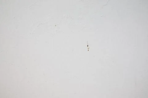 White grey rough cement or Concrete Wall Texture Background,close up abstract Stock Photos