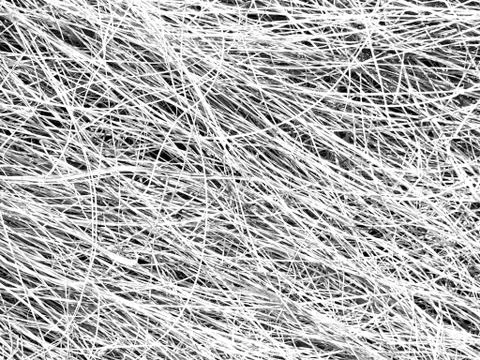 White grey texture, abstract background, long thin strands Stock Photos