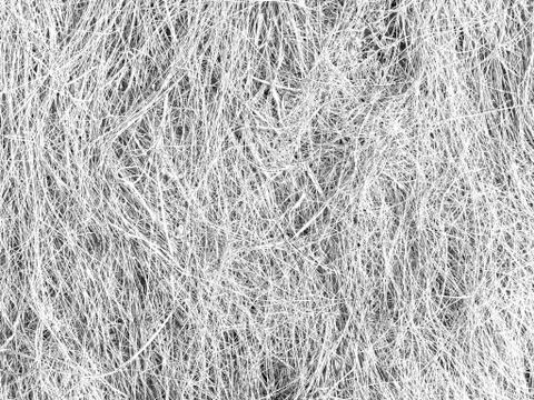 White grey texture, abstract background, long thin strands Stock Photos