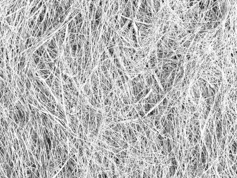 White grey texture, abstract background, long thin strands Stock Photos