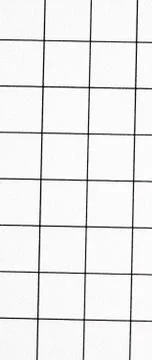 White grid paper texture, back to school background Stock Photos