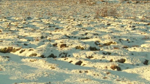 White ground 스톡 동영상 1107527