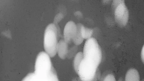 White Grunge Concrete Wall Texture Background with Leaves Shadow and Bokeh on th Stock Footage 134011064