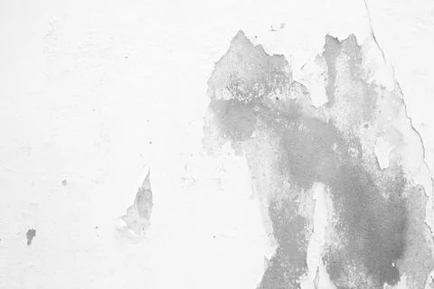 White Grunge Wall Texture Background. Stock Photos