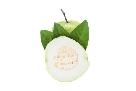 White guava slice with leaf isolated on white Stock Photos