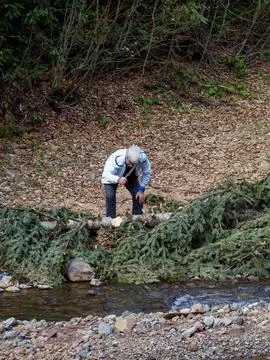 The white-haired man cuts down the fallen tree to clear the way. Stock Photos