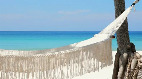 White hammock tied between palm trees on tranquil Caribbean beach Stock Footage 264465989