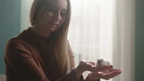 White hamster running in hands of young girl sitting in front of window Stock Footage 138231983