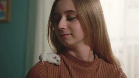 White hamster slid down the brown sweater girl Stock Footage 138231252
