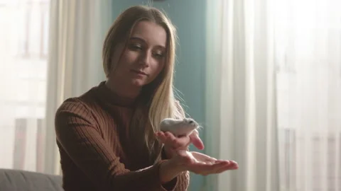 White hamster slowly running in hands of young girl sitting in front of window Video stock 138233187