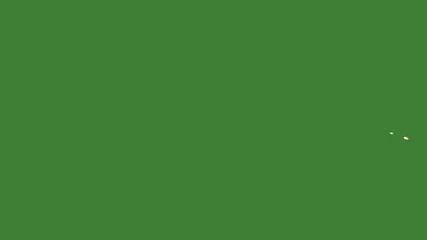 White Hand-Drawn Liquid Stroke Shape Elements on Green Screen Stock Footage 330467472