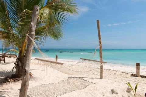 White handmade hammock with palm tree on Zanzibar beach Stock Photos