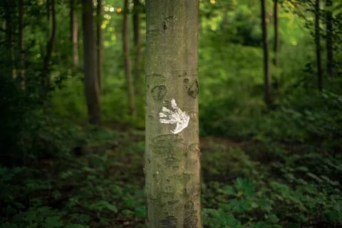 A white handprint on a tree trunk in the forest Stock Photos