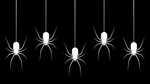 White Hanging Spiders Silhouette Animation on Black Background Halloween Th.. Stock Footage 345050197