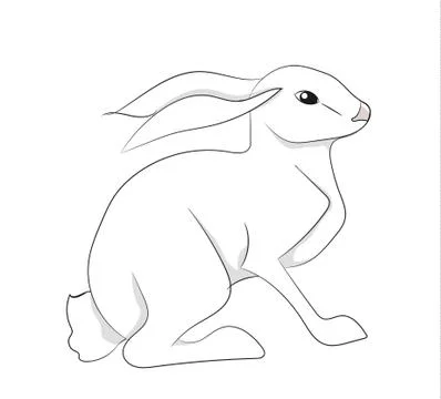 White hare vector, white background Stock-Illustration