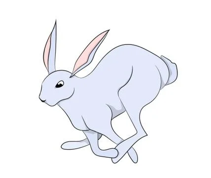 White hare vector, white background Illustrazione stock