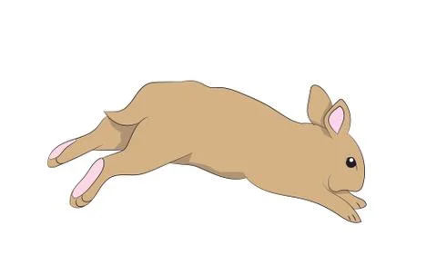 White hare vector, white background Stock Illustration