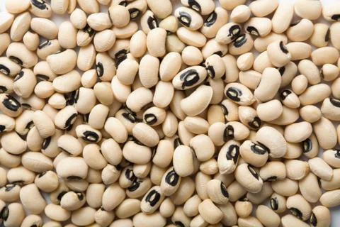 White haricot beans background Stock Photos
