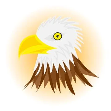 White head eagle Stock Illustration