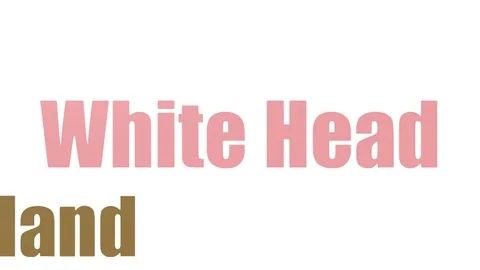White Head Wordcloud Animated Isolated On White Stock Footage 99620099