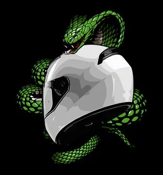 White helmet back view wrapped in snake Illustrazione stock