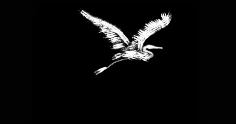 White heron flying Stock Footage 238949137