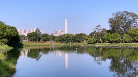 A white heron flying low touching the lake 库存影片 131126311