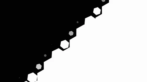 White hexagon grid motion transition wipe over black background. 4K Stock-Footage 346896676