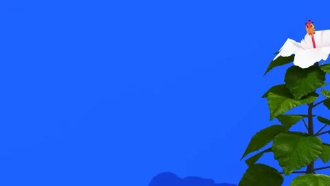 White Hibiscus Flower Against Solid Blue Screen Background 스톡 동영상 330985193