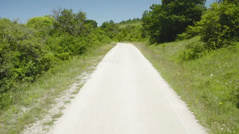 White hiking trail leading up a tree covered hill Stock Footage 137014775