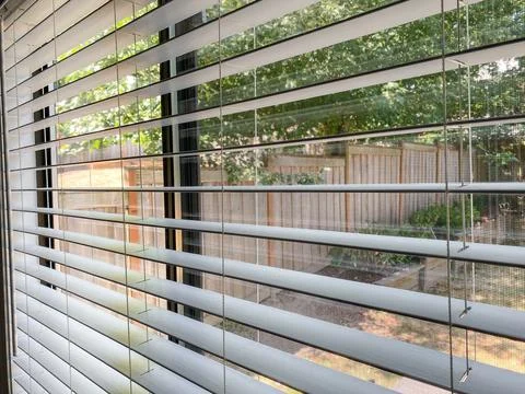 White horizontal window blinds partially open, showing a green backyard and w Stock Photos