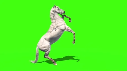 White Horse Attacks Animals Green Screen Side 3D Rendering Animation Vidéo 80452389