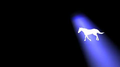 WHITE HORSE Stock Footage 25909417