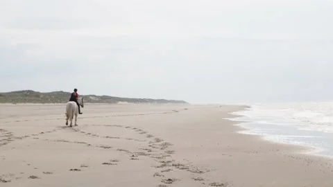 White Horse Galloping On The Beach 5 4K Stock Footage 196287618