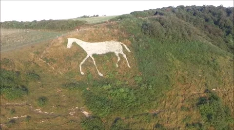 White horse pan Stock Footage 67403902