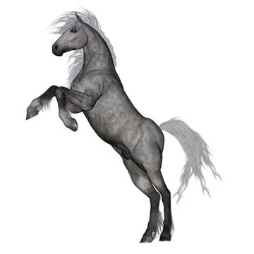 White horse rearing - 3D render Stock Illustration