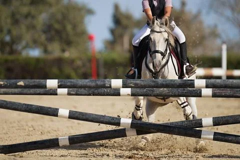 The white horse is refusing to jump an obstacle Stock-Fotos