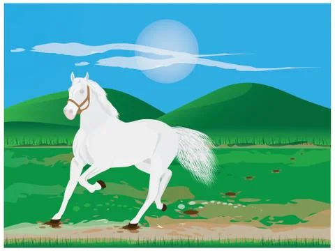 White horse vector design Stock Illustration