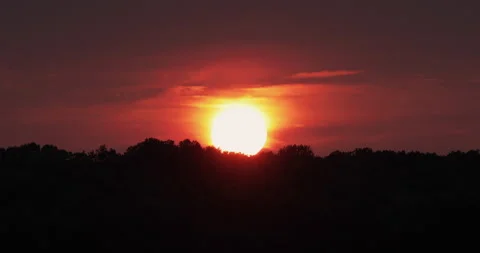 White hot sunset over trees in silhouette Stock Footage 310951818