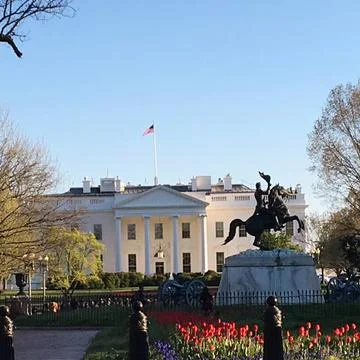 White house (2) Stock Photos