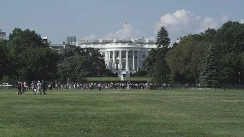 White House Back Lawn Video stock 74855456
