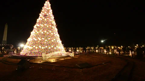 White House Christmas tree Vidéo 33570516